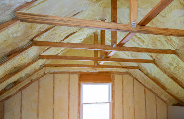 Best Geographic-Specific Insulation Services in Bertsch Oceanview, CA