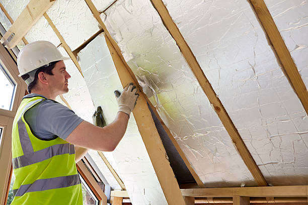 Best Eco-Friendly Insulation in Bertsch Oceanview, CA