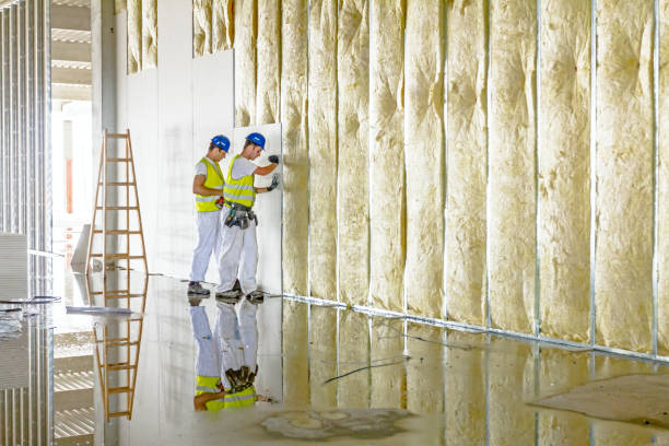 Best Cellulose Insulation in Bertsch Oceanview, CA